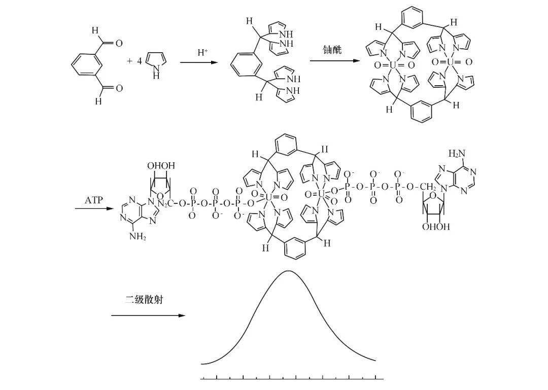 雙核鈾酰配合物二級(jí)散射法檢測(cè)ATP