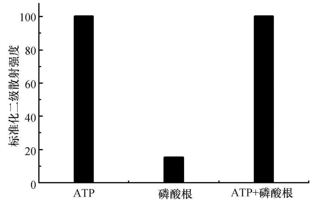 雙核鈾酰配合物二級(jí)散射法檢測(cè)ATP