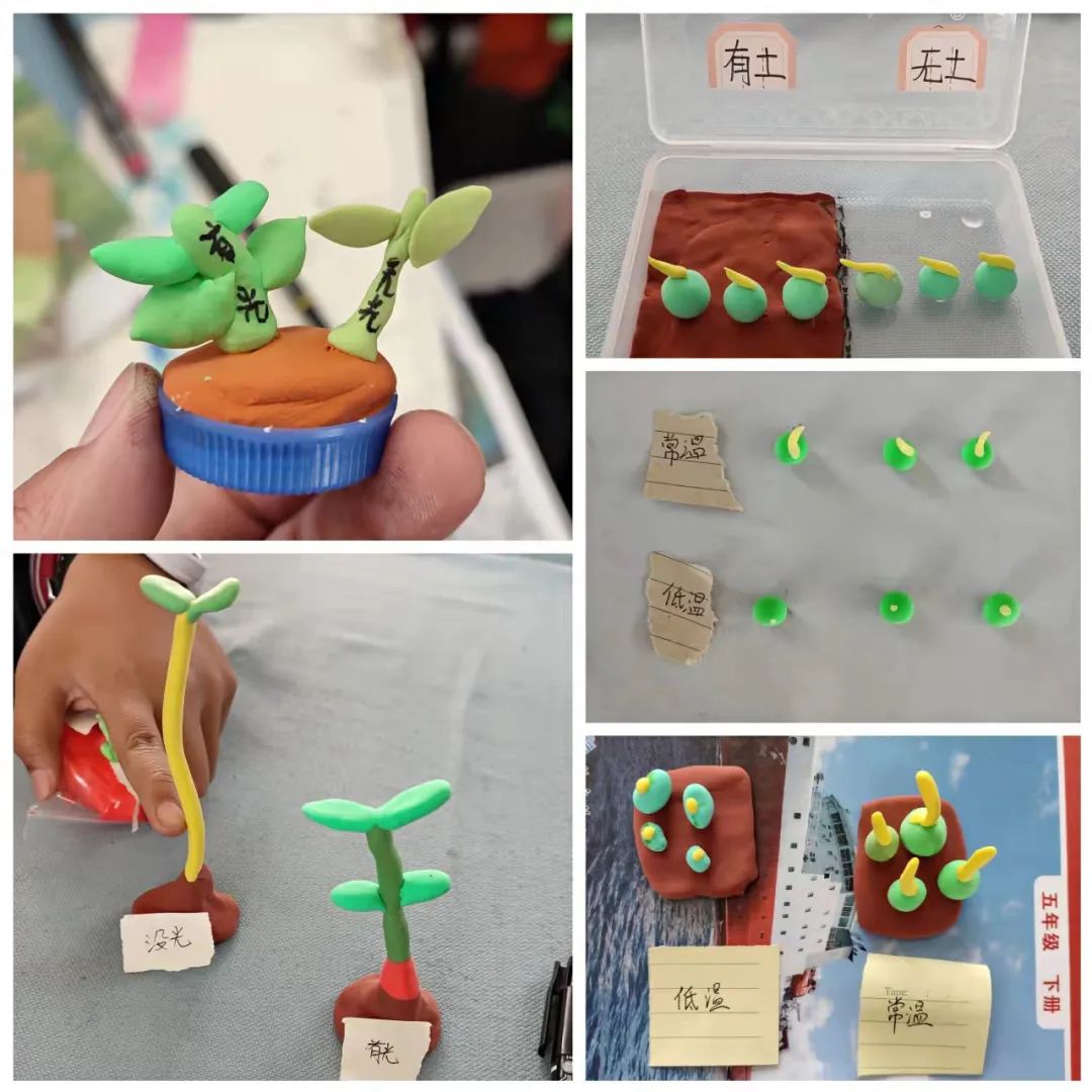 【学校动态】特色作业 智趣飞扬——嵩阳一小特色作业设计之“趣玩科学” 【学校动态】特色作业 智趣飞扬——嵩阳一小特色作业设计之“趣玩科学”