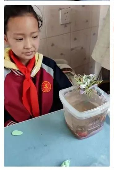 【学校动态】特色作业 智趣飞扬——嵩阳一小特色作业设计之“趣玩科学”