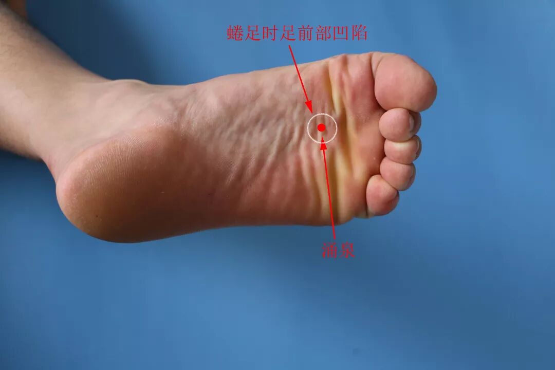 降压之妙穴 涌泉穴 灸姐经络智慧 微信公众号文章阅读 Wemp
