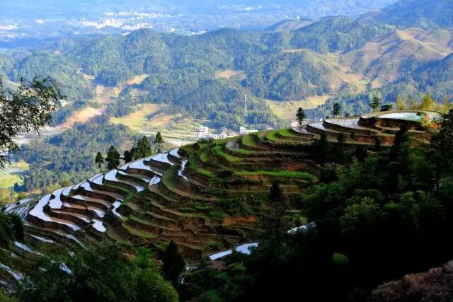 宜宾市区到蜀南竹海有多远_长沙市区到岳麓山多远_长沙市区到凤凰古城有多远