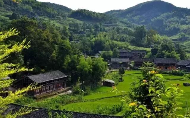 长沙市区到岳麓山多远_宜宾市区到蜀南竹海有多远_长沙市区到凤凰古城有多远