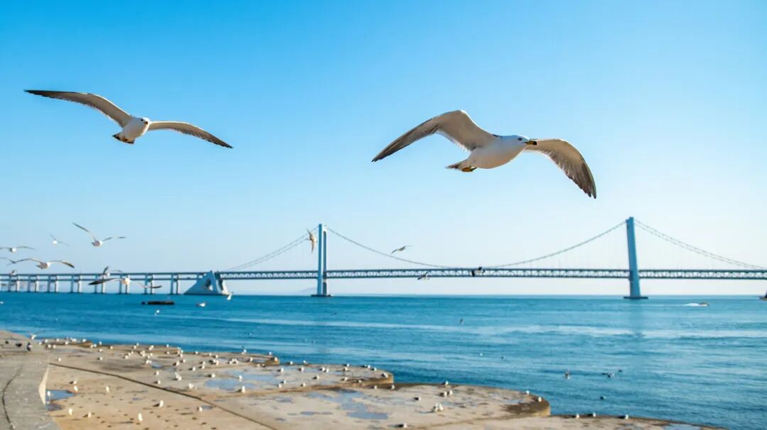 中国最适合退休后去的6个地方，50岁后一定要去一次！物价低，节奏慢