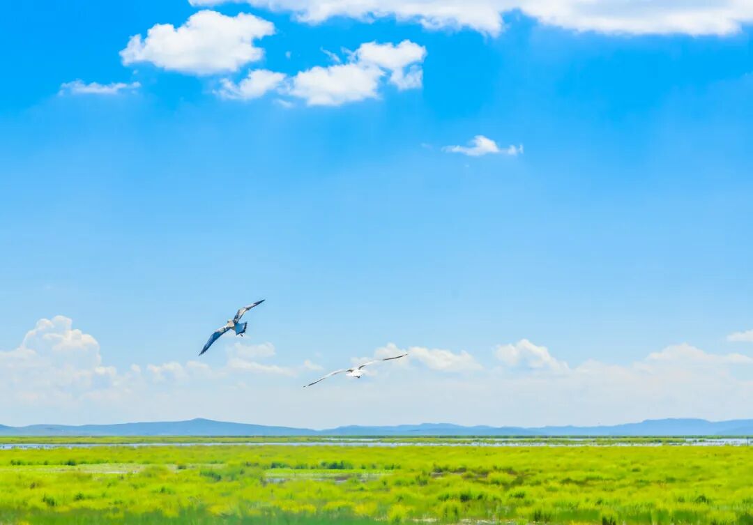 这才是中国7、8月最避暑的自驾路线，均温18℃，沿途人少景美！赶紧选一条出发吧