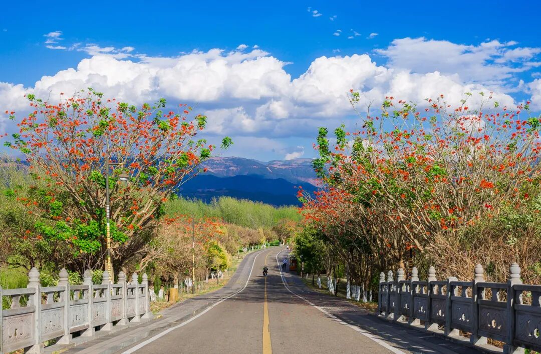 国内“避暑”天花板：游客不足大理的1%，安逸不输成都！均温18℃，不用空调！！严重被低估了......