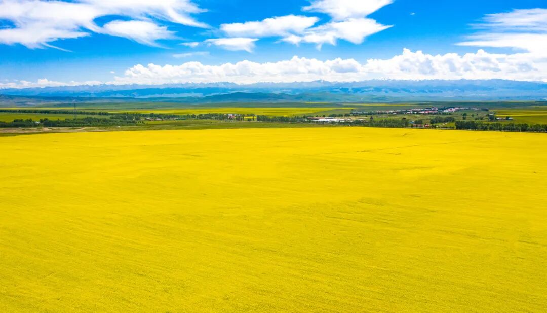 这才是中国7、8月最避暑的自驾路线，均温18℃，沿途人少景美！赶紧选一条出发吧