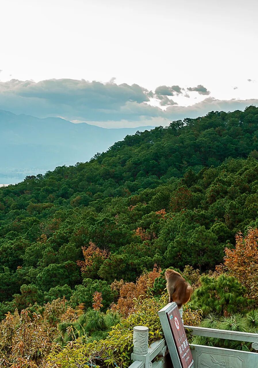 国内“避暑”天花板：游客不足大理的1%，安逸不输成都！均温18℃，不用空调！！严重被低估了......