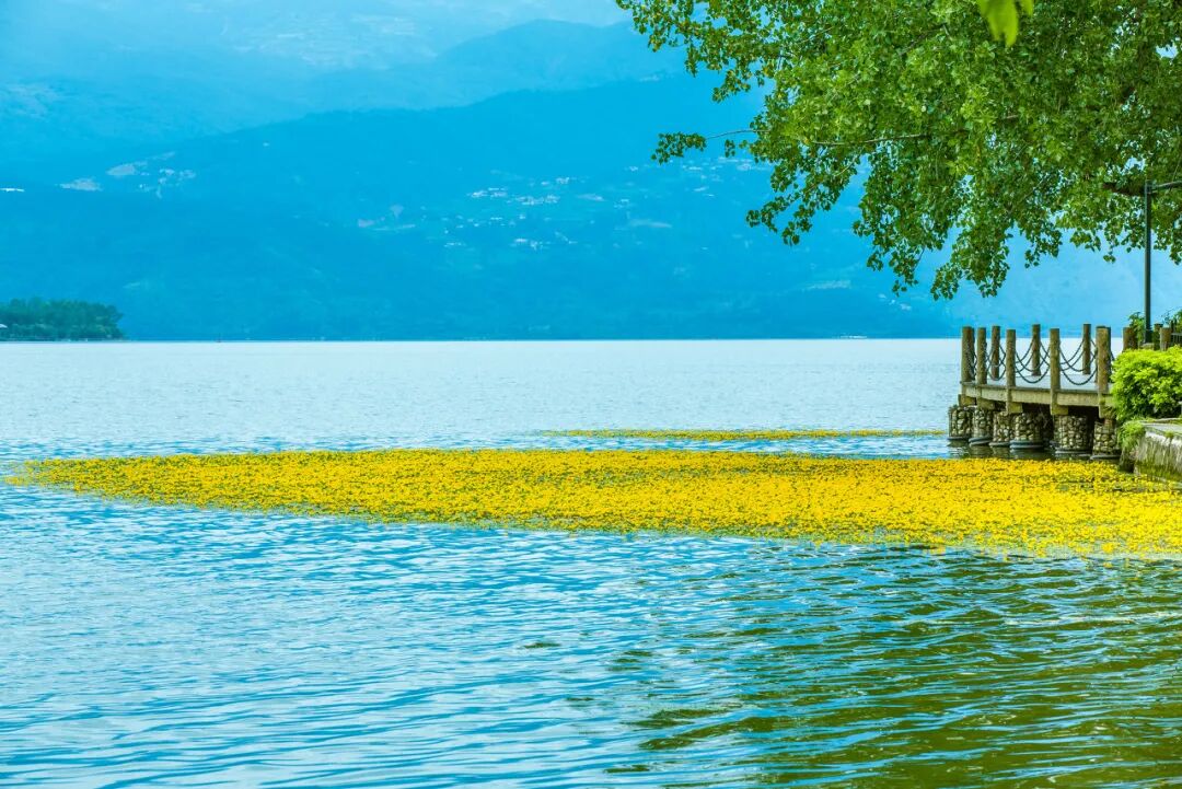 国内“避暑”天花板：游客不足大理的1%，安逸不输成都！均温18℃，不用空调！！严重被低估了......