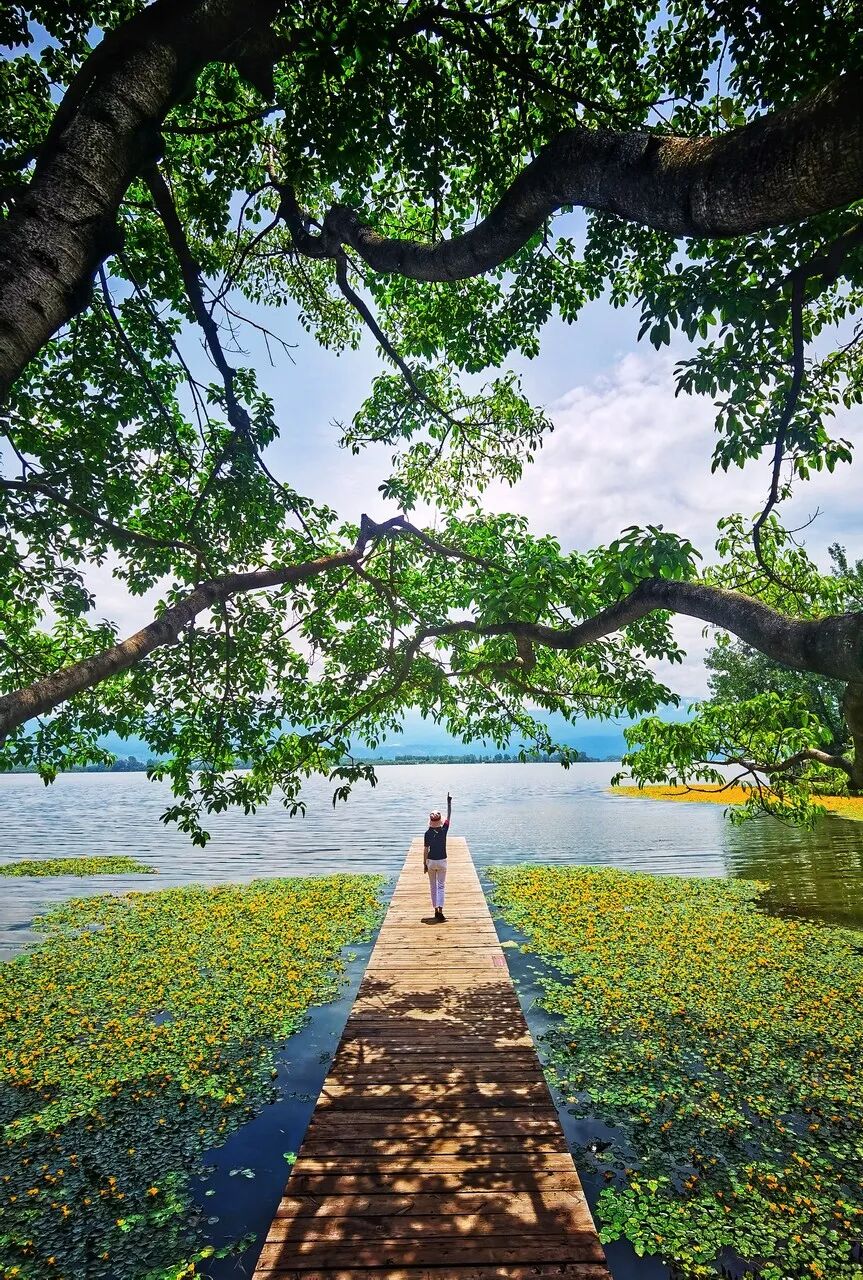 国内“避暑”天花板：游客不足大理的1%，安逸不输成都！均温18℃，不用空调！！严重被低估了......