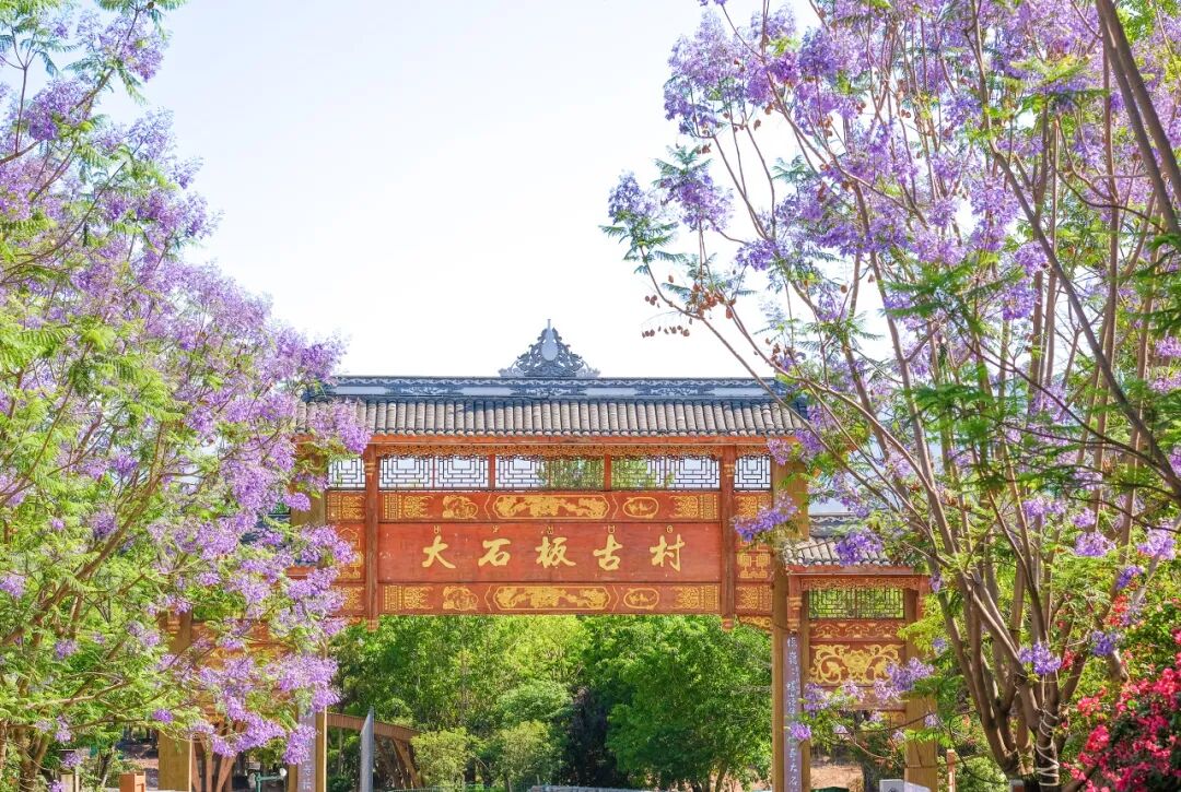 国内“避暑”天花板：游客不足大理的1%，安逸不输成都！均温18℃，不用空调！！严重被低估了......