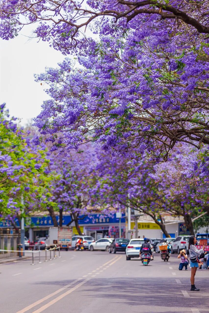 国内“避暑”天花板：游客不足大理的1%，安逸不输成都！均温18℃，不用空调！！严重被低估了......