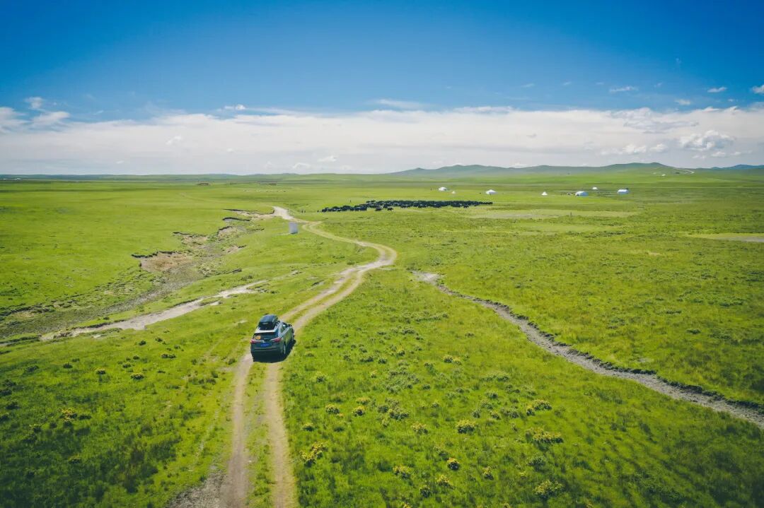 这才是中国7、8月最避暑的自驾路线，均温18℃，沿途人少景美！赶紧选一条出发吧