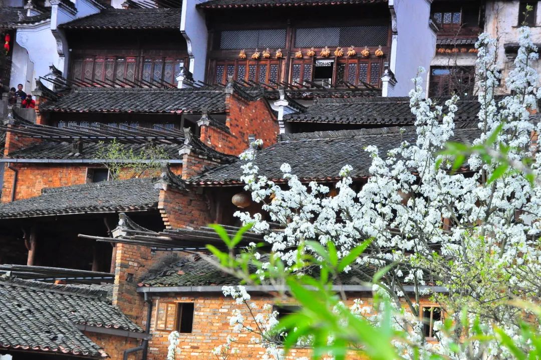 中國最美鮮花小鎮，驚艷了世界！這才是真正的「世外桃源」... 旅遊 第9張