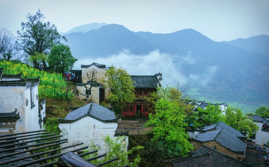 中國最美鮮花小鎮，驚艷了世界！這才是真正的「世外桃源」... 旅遊 第37張