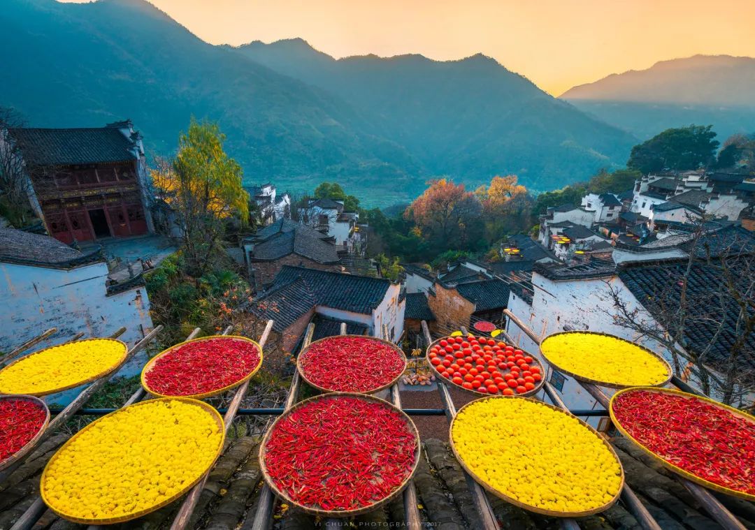 中國最美鮮花小鎮，驚艷了世界！這才是真正的「世外桃源」... 旅遊 第20張
