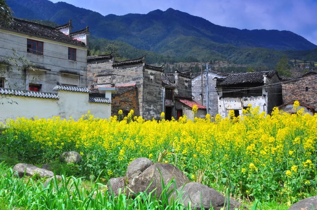 中國最美鮮花小鎮，驚艷了世界！這才是真正的「世外桃源」... 旅遊 第31張