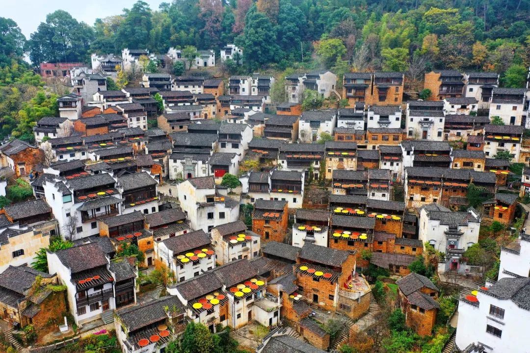 中國最美鮮花小鎮，驚艷了世界！這才是真正的「世外桃源」... 旅遊 第21張