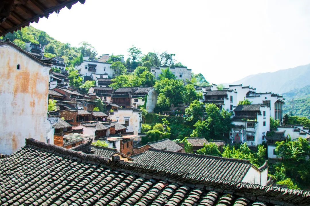 中國最美鮮花小鎮，驚艷了世界！這才是真正的「世外桃源」... 旅遊 第14張