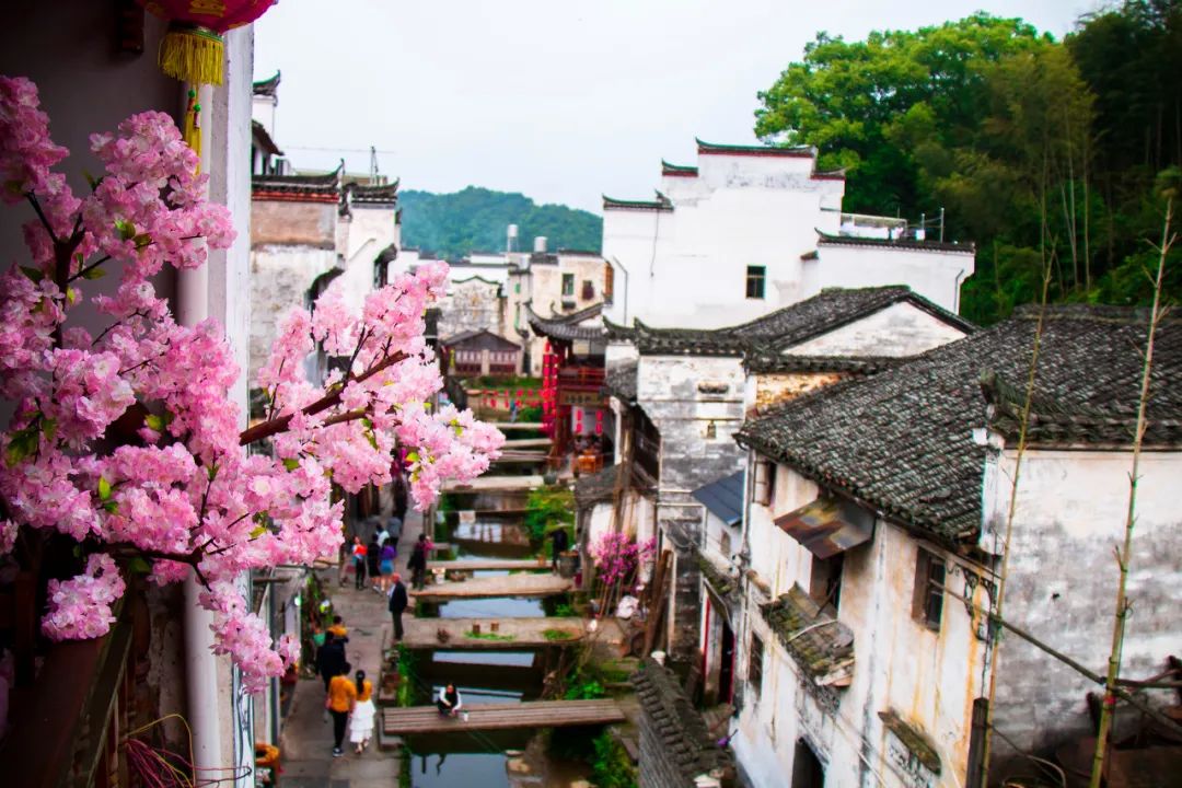 中國最美鮮花小鎮，驚艷了世界！這才是真正的「世外桃源」... 旅遊 第12張