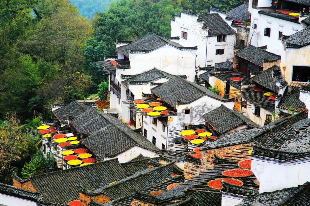 中國最美鮮花小鎮，驚艷了世界！這才是真正的「世外桃源」... 旅遊 第18張