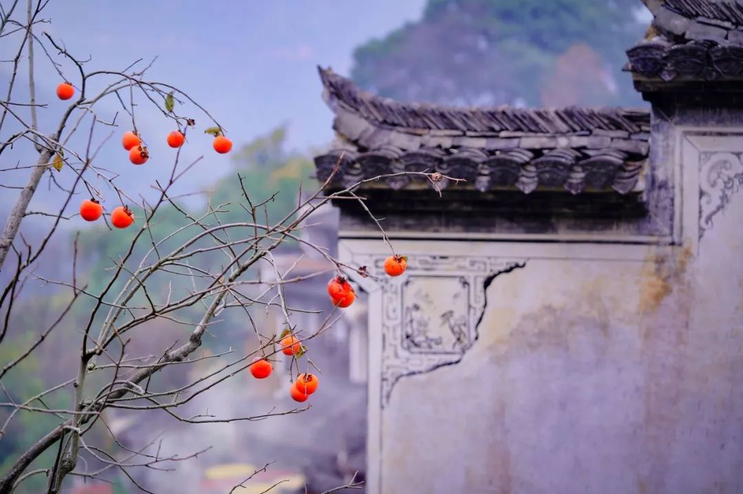 中國最美鮮花小鎮，驚艷了世界！這才是真正的「世外桃源」... 旅遊 第25張