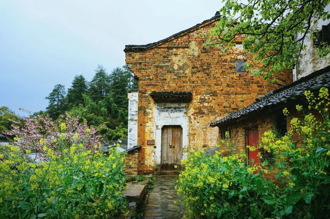 中國最美鮮花小鎮，驚艷了世界！這才是真正的「世外桃源」... 旅遊 第11張