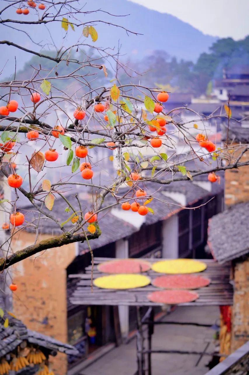 中國最美鮮花小鎮，驚艷了世界！這才是真正的「世外桃源」... 旅遊 第24張