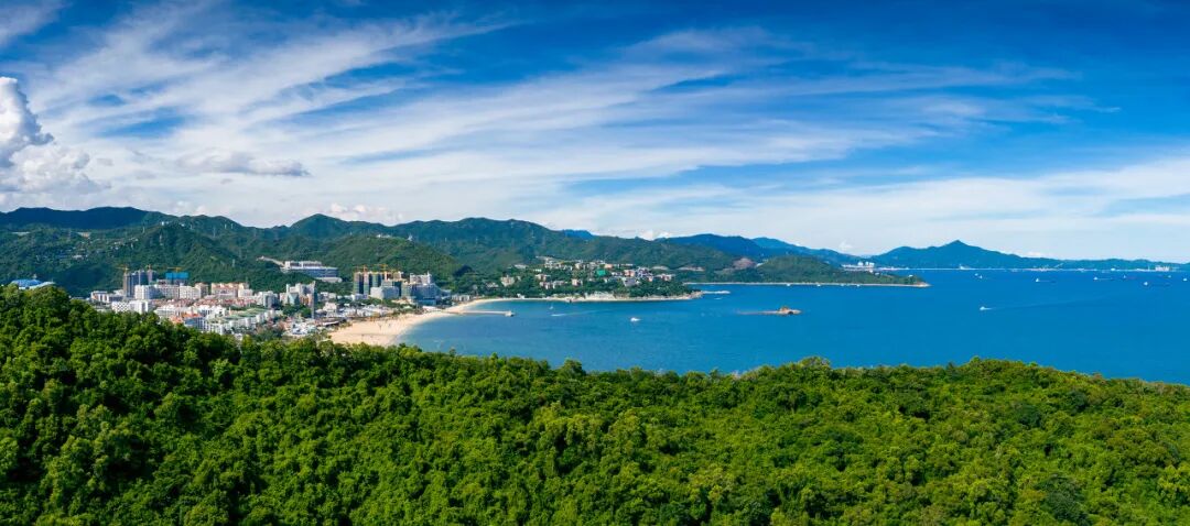 中国唯一没有“农村”的城市：无农民，40年前是小渔村！如今“富可敌国”，每年有500万人挤着来