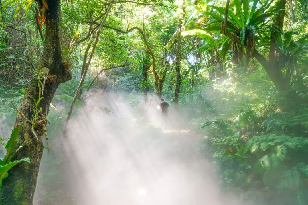 中国唯一没有“农村”的城市：无农民，40年前是小渔村！如今“富可敌国”，每年有500万人挤着来