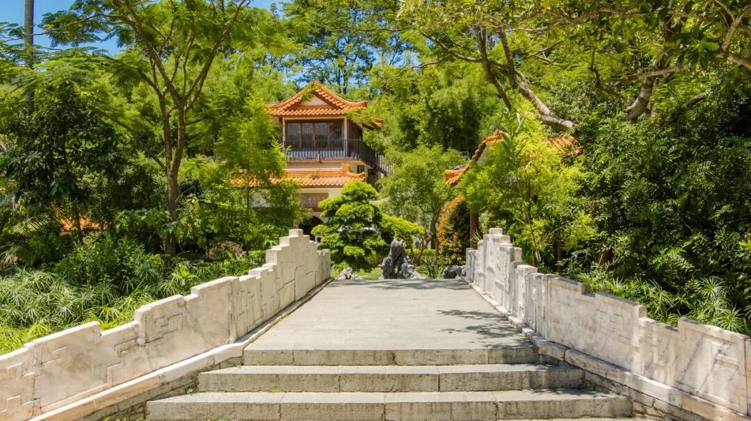 中国唯一没有“农村”的城市：无农民，40年前是小渔村！如今“富可敌国”，每年有500万人挤着来