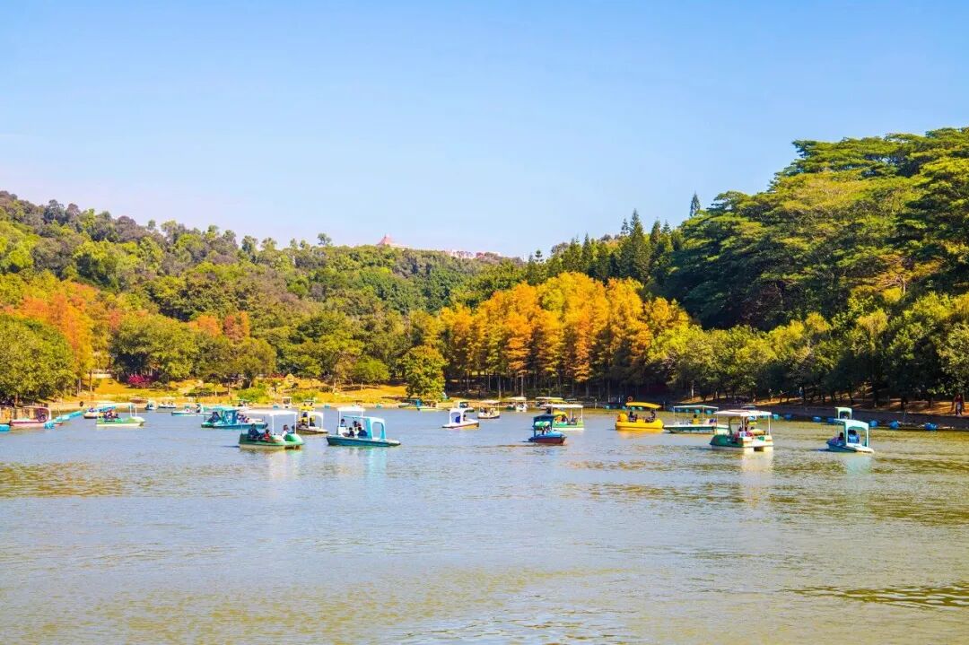 中国唯一没有“农村”的城市：无农民，40年前是小渔村！如今“富可敌国”，每年有500万人挤着来