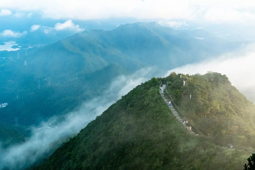 中国唯一没有“农村”的城市：无农民，40年前是小渔村！如今“富可敌国”，每年有500万人挤着来