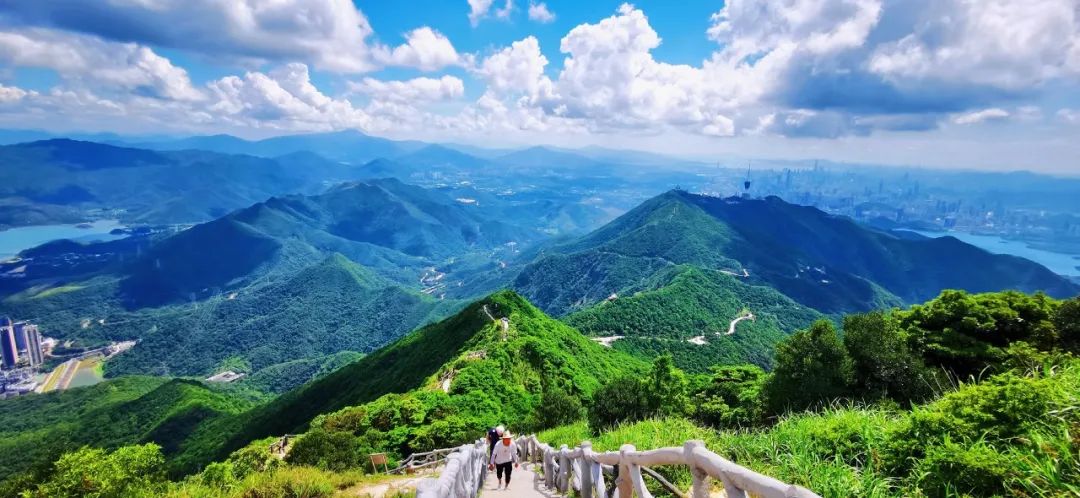 中国唯一没有“农村”的城市：无农民，40年前是小渔村！如今“富可敌国”，每年有500万人挤着来