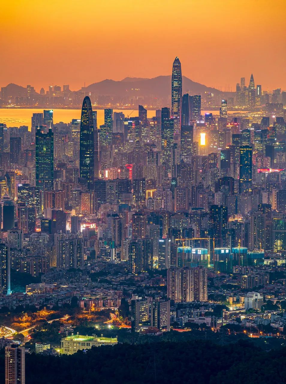 中国唯一没有“农村”的城市：无农民，40年前是小渔村！如今“富可敌国”，每年有500万人挤着来