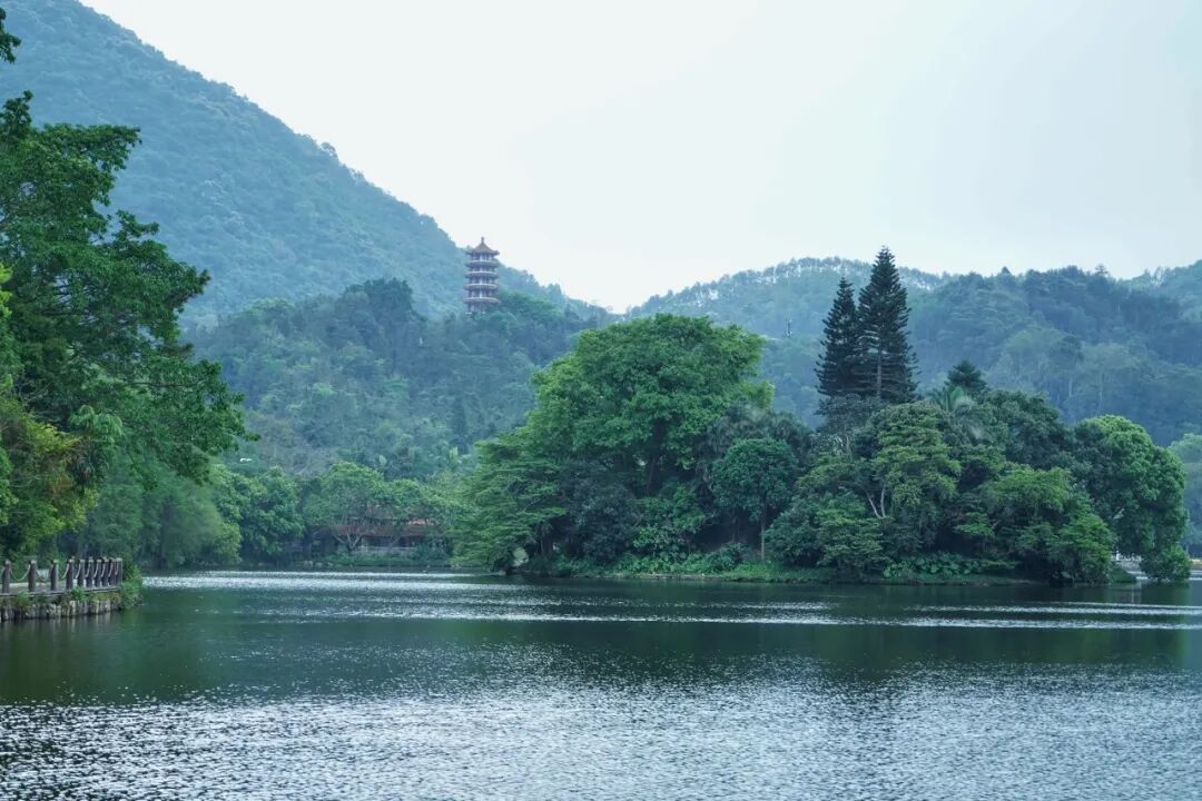 中国唯一没有“农村”的城市：无农民，40年前是小渔村！如今“富可敌国”，每年有500万人挤着来