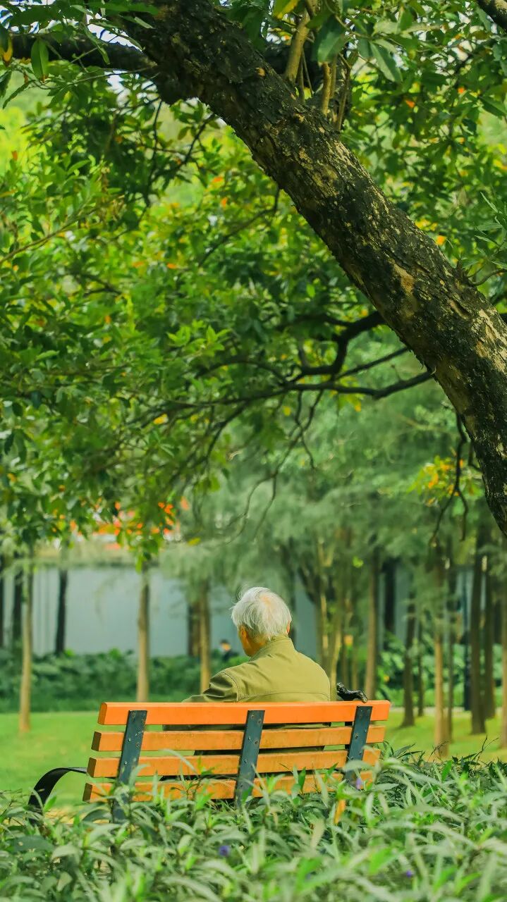 中国唯一没有“农村”的城市：无农民，40年前是小渔村！如今“富可敌国”，每年有500万人挤着来