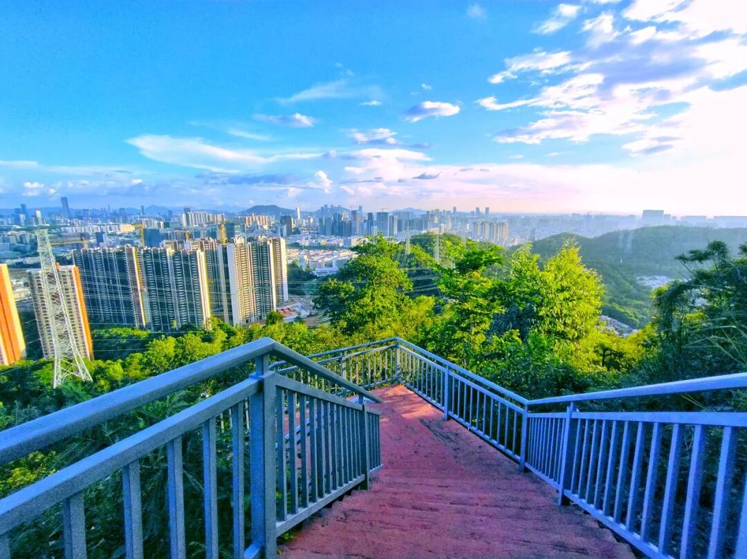 中国唯一没有“农村”的城市：无农民，40年前是小渔村！如今“富可敌国”，每年有500万人挤着来