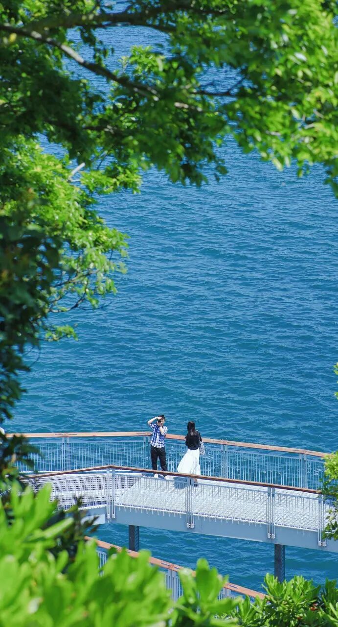 中国唯一没有“农村”的城市：无农民，40年前是小渔村！如今“富可敌国”，每年有500万人挤着来