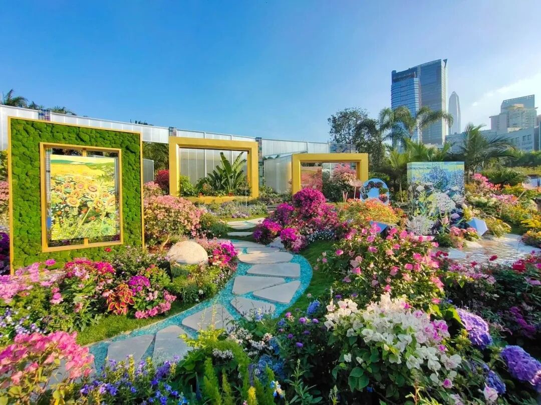 中国唯一没有“农村”的城市：无农民，40年前是小渔村！如今“富可敌国”，每年有500万人挤着来