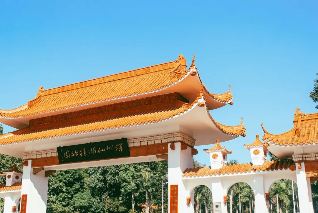 中国唯一没有“农村”的城市：无农民，40年前是小渔村！如今“富可敌国”，每年有500万人挤着来