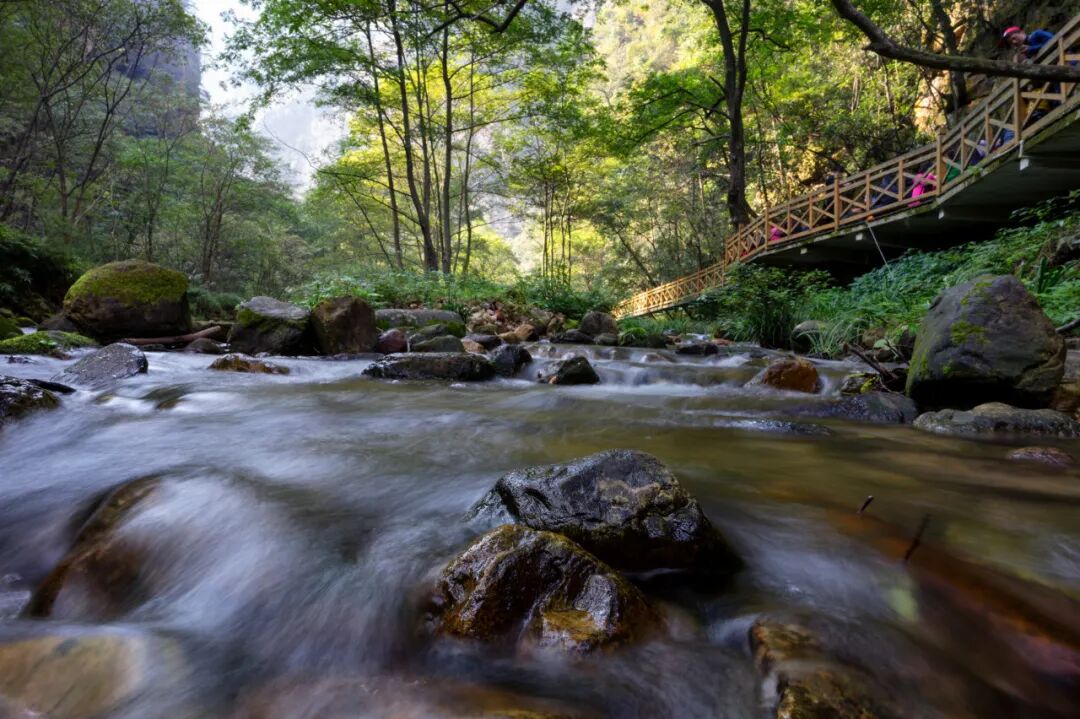 24亿修建，四年亏10亿！张家界的这座古城，沦为空城，停车场竟是唯一盈利项目