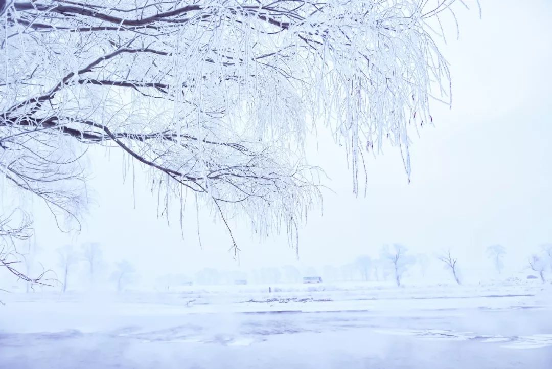 去什麼新疆和西藏，這裡才是中國最美的冬天！ 旅遊 第17張