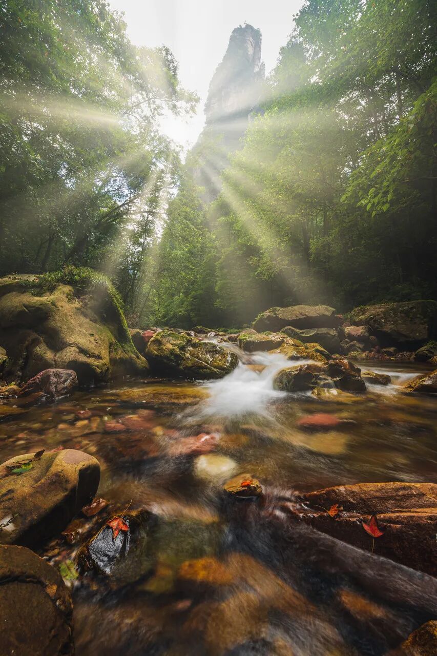 中国又一座城市被老外“占据”，30万老外涌入，竟能使用外币！美到窒息，还是此生必去......