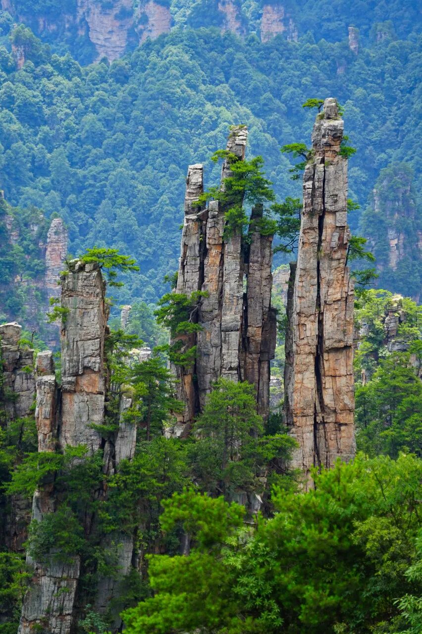 中国又一座城市被老外“占据”，30万老外涌入，竟能使用外币！美到窒息，还是此生必去......