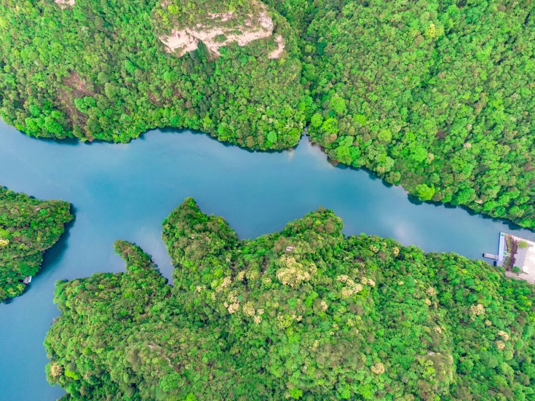 中国又一座城市被老外“占据”，30万老外涌入，竟能使用外币！美到窒息，还是此生必去......