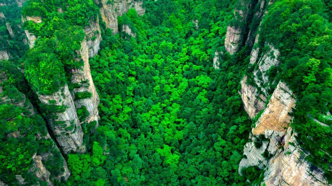 中国又一座城市被老外“占据”，30万老外涌入，竟能使用外币！美到窒息，还是此生必去......