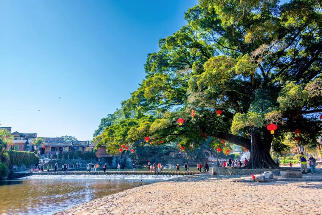 “厦门最美机场”即将关闭，姚晨发文纪念：有些地方错过了，便是永远