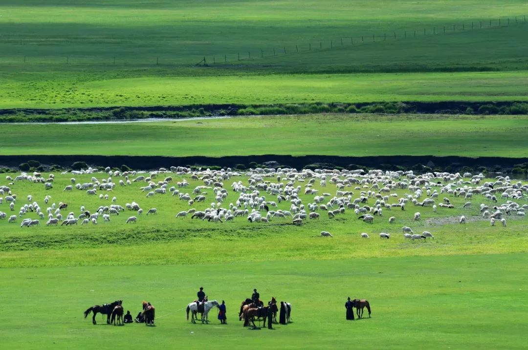 內蒙古的夏天，簡直要逼瘋攝影師！ 旅遊 第17張