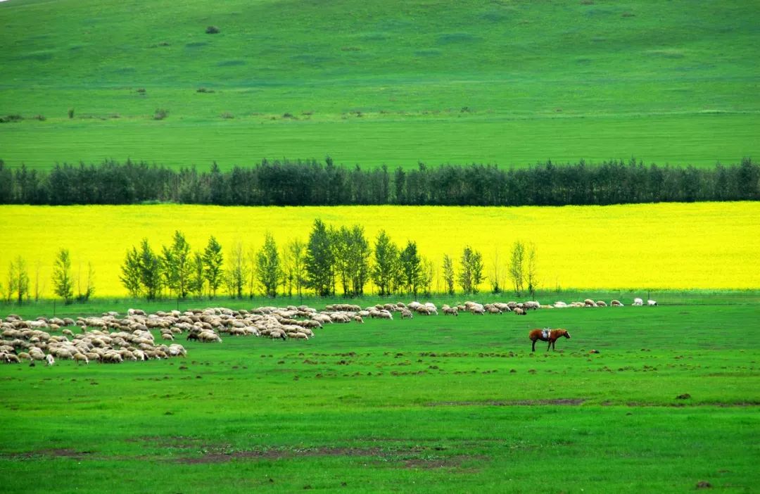 內蒙古的夏天，簡直要逼瘋攝影師！ 旅遊 第16張